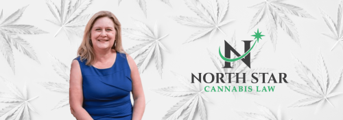 Minnesota Cannabis: One Y…